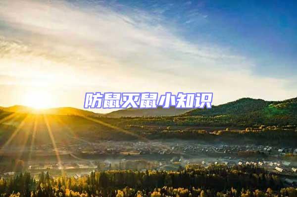 防鼠滅鼠小知識