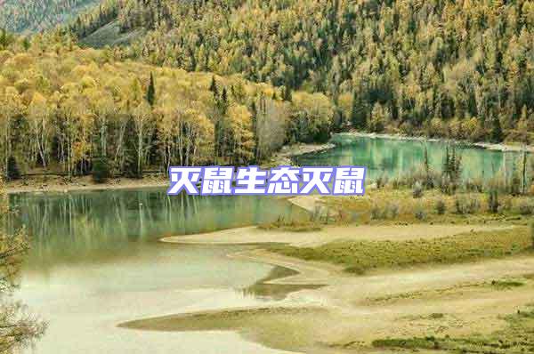 滅鼠生態滅鼠