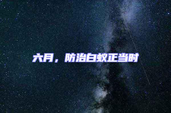 六月，防治白蟻正當(dāng)時(shí)