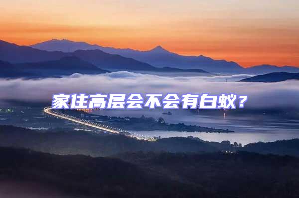 家住高層會不會有白蟻？