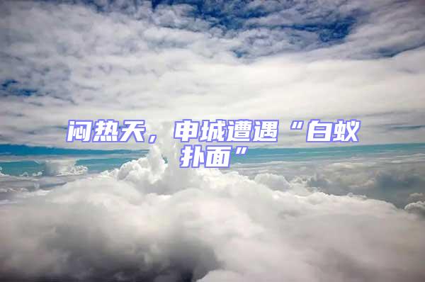 悶熱天，申城遭遇“白蟻撲面”