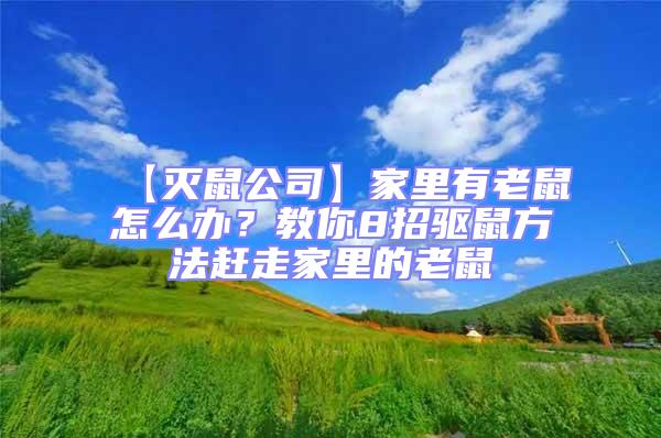 【滅鼠公司】家里有老鼠怎么辦？教你8招驅鼠方法趕走家里的老鼠