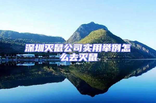 深圳滅鼠公司實用舉例怎么去滅鼠