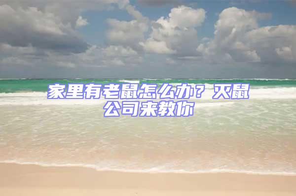 家里有老鼠怎么辦？滅鼠公司來教你