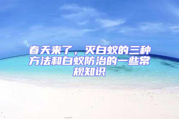 春天來了，滅白蟻的三種方法和白蟻防治的一些常規知識