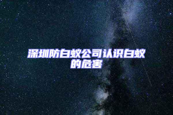 深圳防白蟻公司認(rèn)識(shí)白蟻的危害