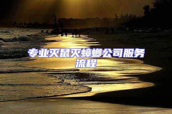 專業滅鼠滅蟑螂公司服務流程