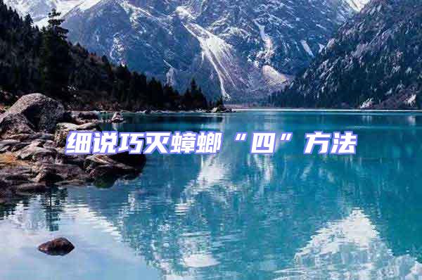 細(xì)說巧滅蟑螂“四”方法