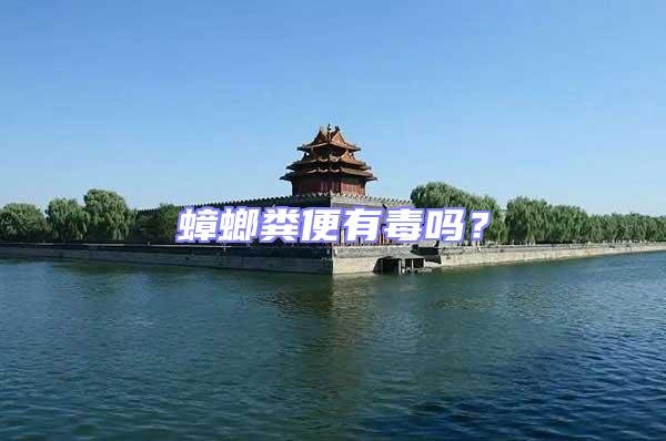 蟑螂糞便有毒嗎？