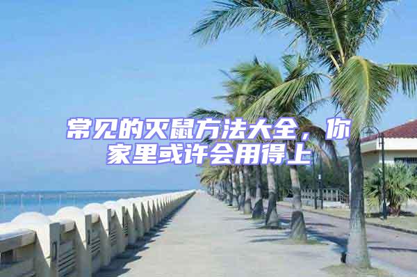 常見的滅鼠方法大全，你家里或許會(huì)用得上