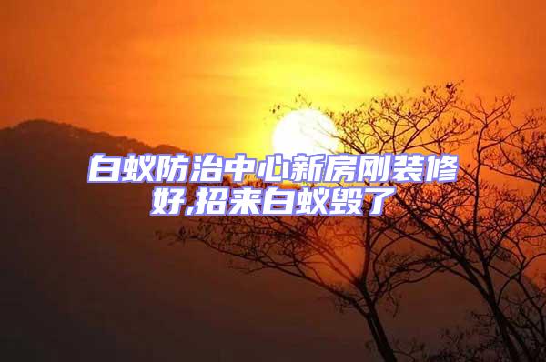 白蟻防治中心新房剛裝修好,招來(lái)白蟻毀了