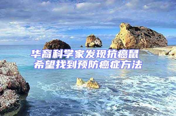 華裔科學家發(fā)現(xiàn)抗癌鼠 希望找到預防癌癥方法