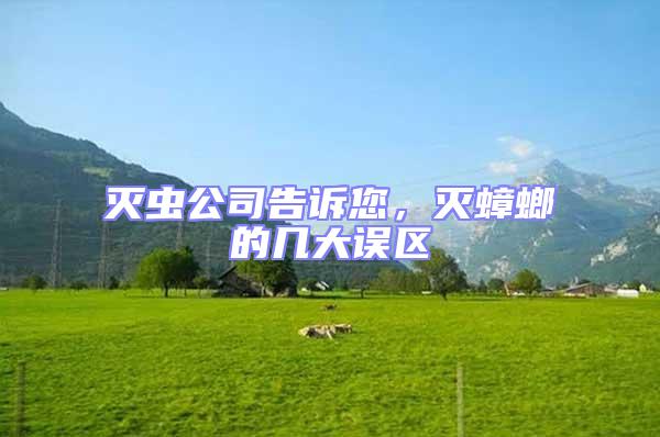 滅蟲公司告訴您，滅蟑螂的幾大誤區