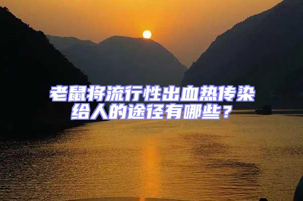 老鼠將流行性出血熱傳染給人的途徑有哪些？