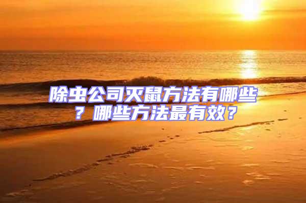 除蟲公司滅鼠方法有哪些？哪些方法最有效？