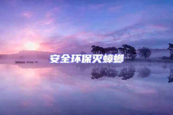 安全環(huán)保滅蟑螂