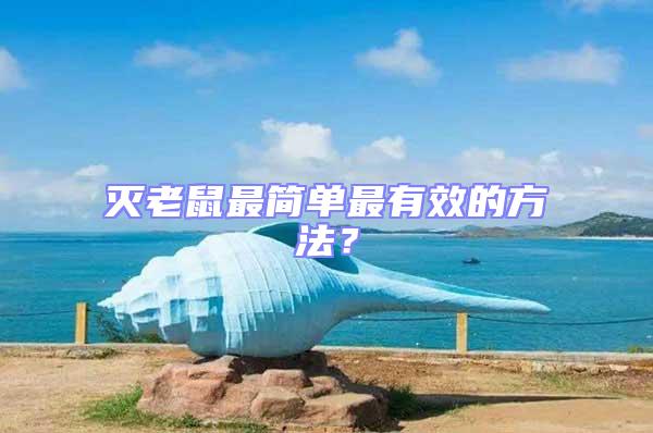 滅老鼠最簡單最有效的方法？