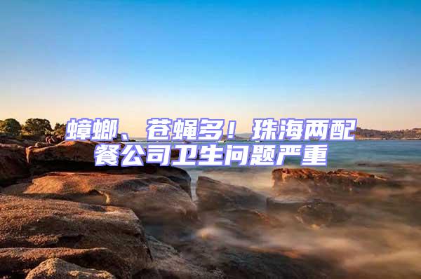蟑螂、蒼蠅多！珠海兩配餐公司衛生問題嚴重