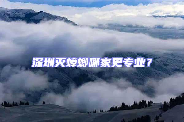 深圳滅蟑螂哪家更專業？