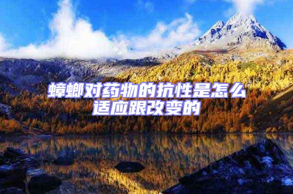 蟑螂對藥物的抗性是怎么適應(yīng)跟改變的