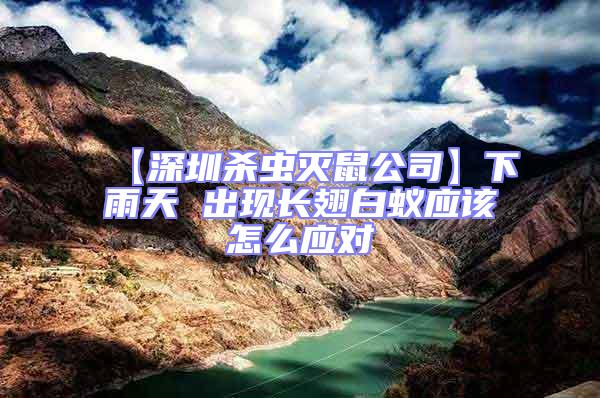 【深圳殺蟲(chóng)滅鼠公司】下雨天 出現(xiàn)長(zhǎng)翅白蟻應(yīng)該怎么應(yīng)對(duì)