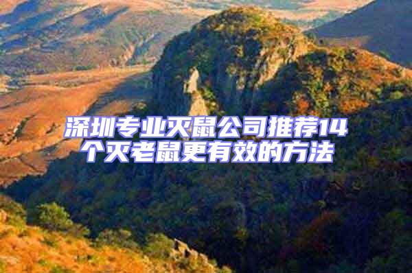 深圳專業滅鼠公司推薦14個滅老鼠更有效的方法