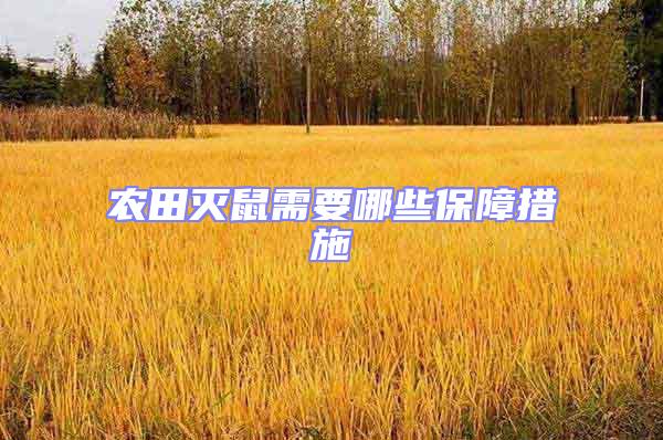 農(nóng)田滅鼠需要哪些保障措施