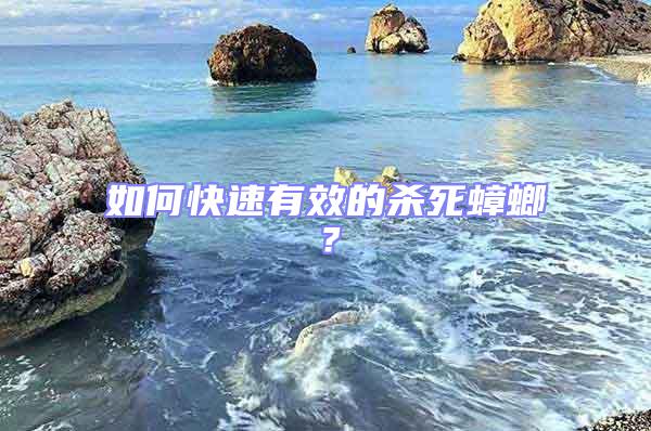 如何快速有效的殺死蟑螂？