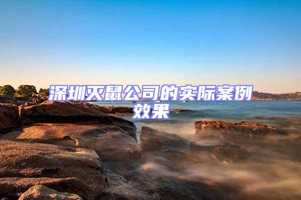 深圳滅鼠公司的實際案例效果