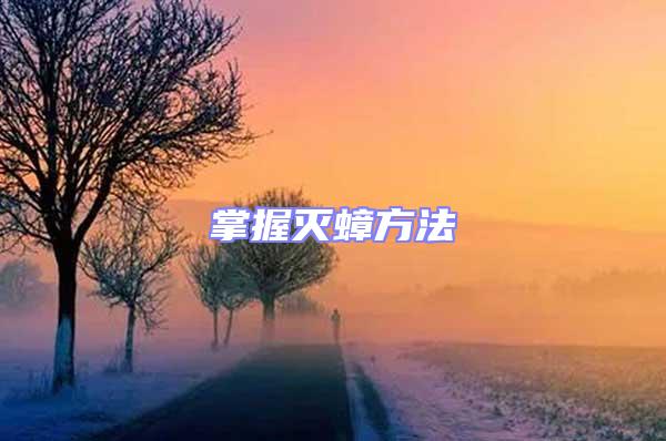 掌握滅蟑方法
