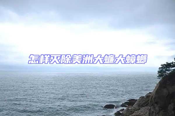怎樣滅除美洲大蠊大蟑螂