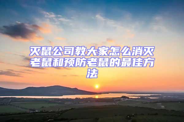 滅鼠公司教大家怎么消滅老鼠和預防老鼠的最佳方法