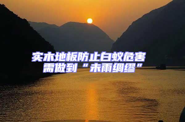 實(shí)木地板防止白蟻危害 需做到“未雨綢繆”