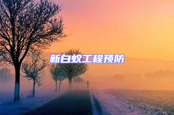新白蟻工程預防