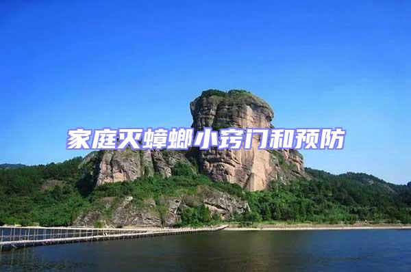家庭滅蟑螂小竅門和預防