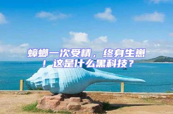 蟑螂一次受精，終身生崽！這是什么黑科技？