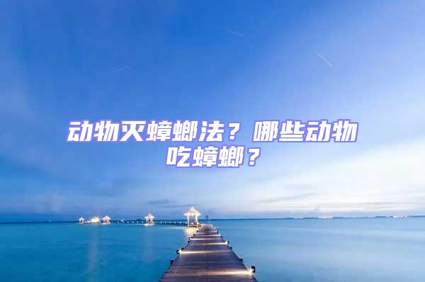 動(dòng)物滅蟑螂法？哪些動(dòng)物吃蟑螂？