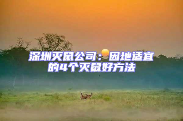 深圳滅鼠公司：因地適宜的4個滅鼠好方法