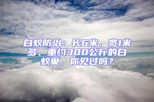 白蟻防治：長6米、寬1米多、重約300公斤的白蟻巢，你見過嗎？