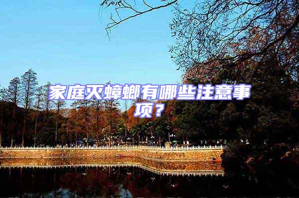 家庭滅蟑螂有哪些注意事項？