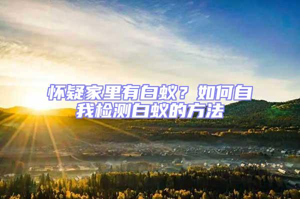 懷疑家里有白蟻？如何自我檢測白蟻的方法