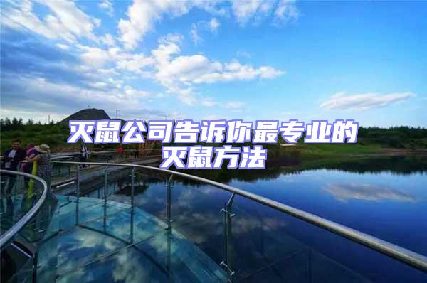 滅鼠公司告訴你最專業的滅鼠方法