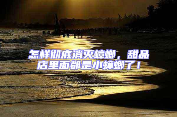 怎樣徹底消滅蟑螂，甜品店里面都是小蟑螂了！