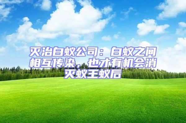滅治白蟻公司：白蟻之間相互傳染，也才有機會消滅蟻王蟻后