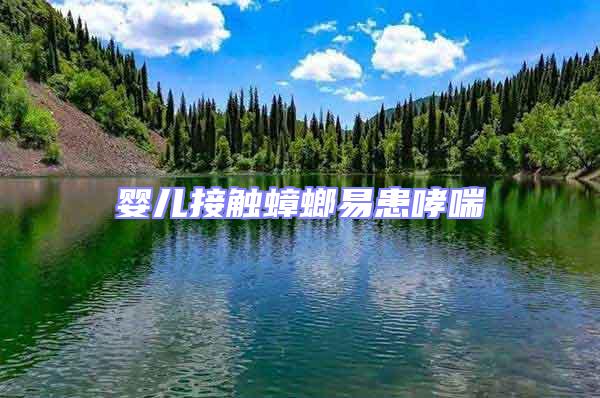 嬰兒接觸蟑螂易患哮喘