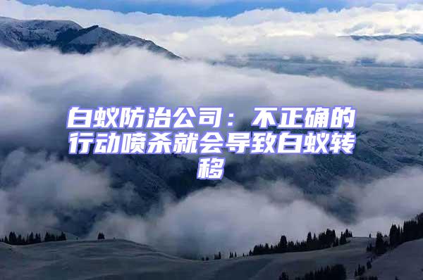 白蟻防治公司：不正確的行動噴殺就會導致白蟻轉移