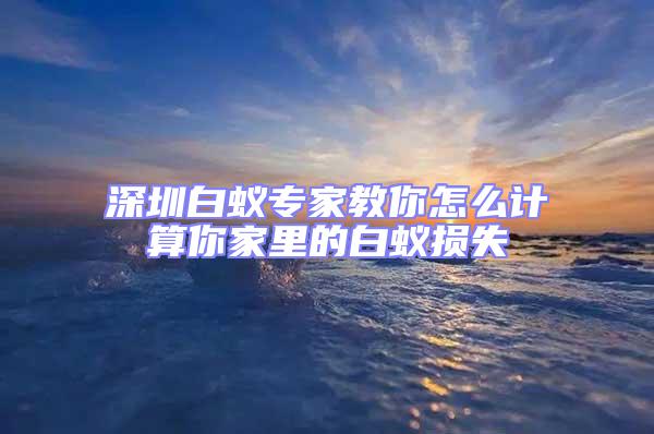 深圳白蟻專家教你怎么計算你家里的白蟻損失