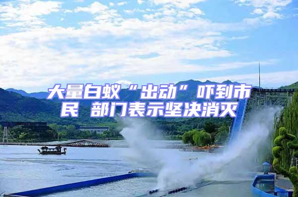 大量白蟻“出動(dòng)”嚇到市民 部門表示堅(jiān)決消滅