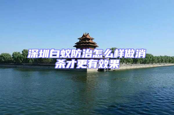 深圳白蟻防治怎么樣做消殺才更有效果