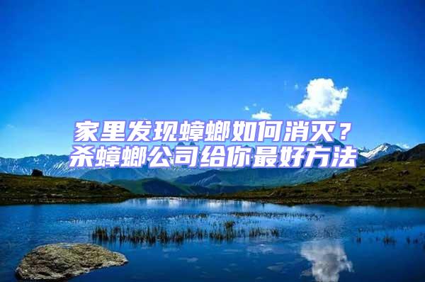 家里發現蟑螂如何消滅？殺蟑螂公司給你最好方法